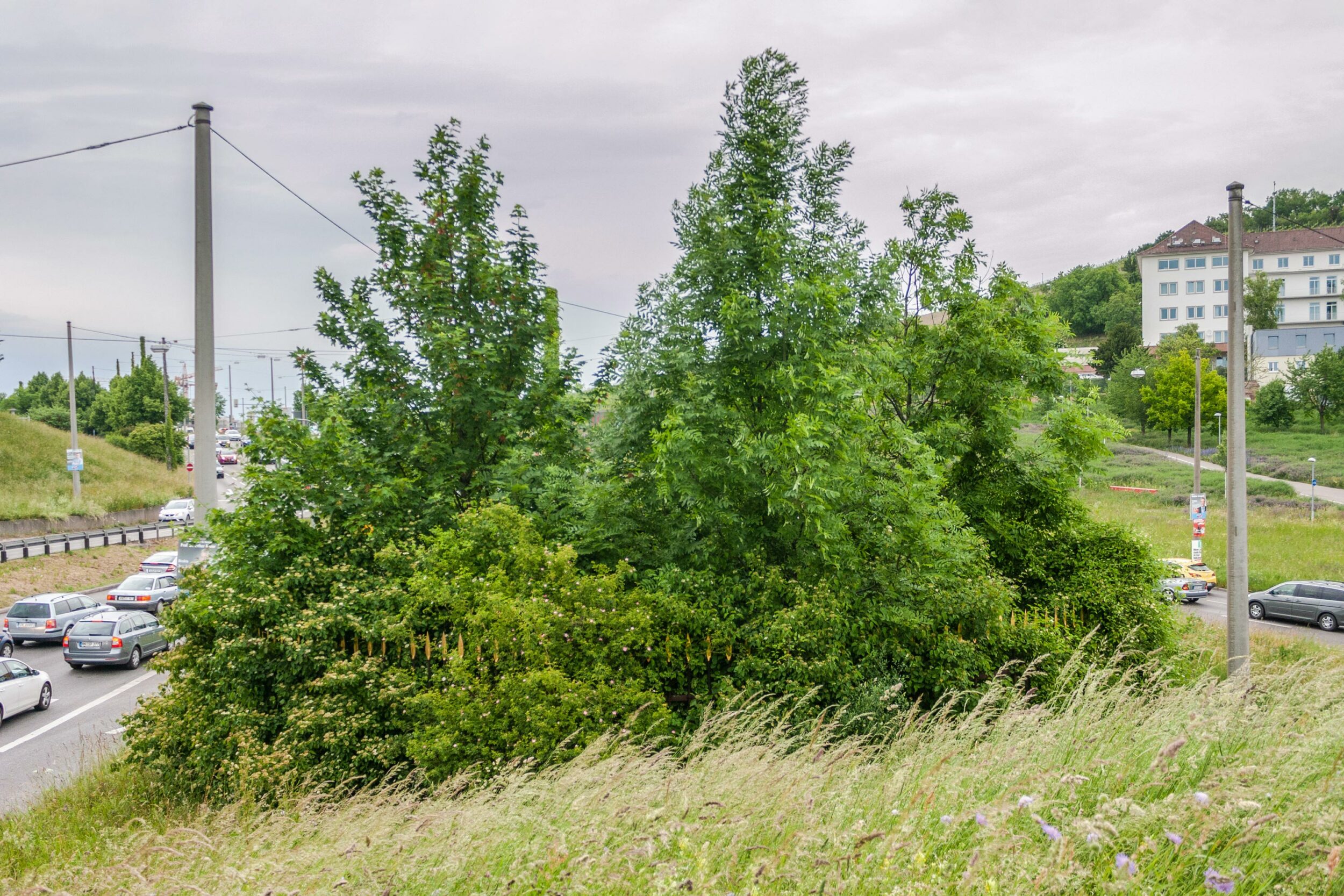 Matter Of: Kunst im öffentlichen Raum in Stuttgart