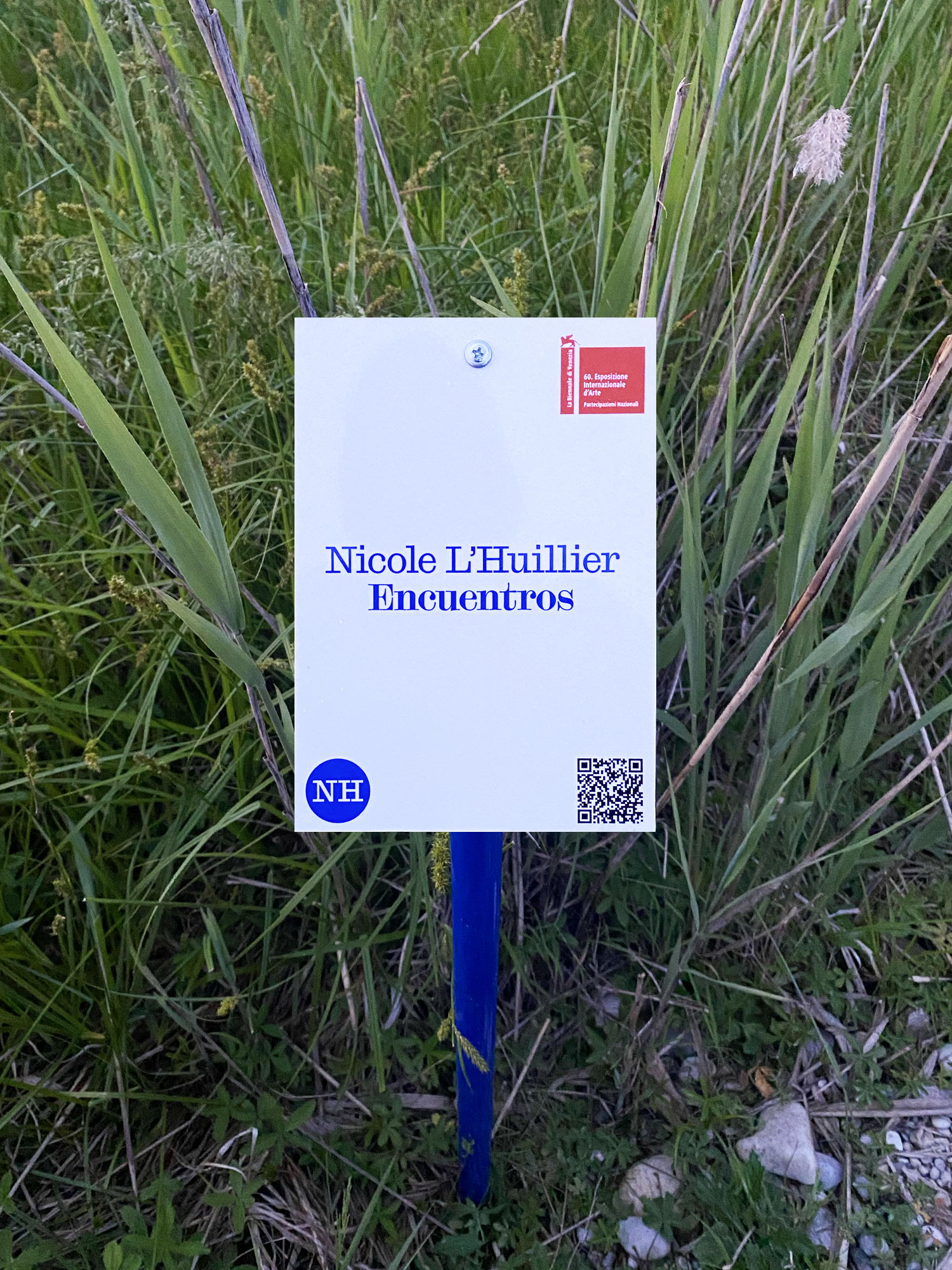 Matter Of: German Pavilion at La Biennale di Venezia 2024